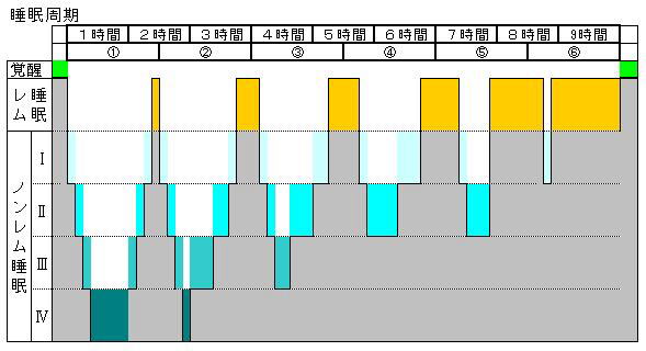 眠りのサイクル